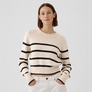 Gap Shrunken Roll Neck Sweater - Off White And Brown Stripe
